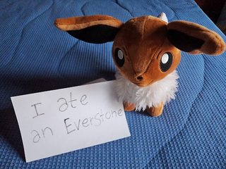 Illustration for article titled Pokemon Shaming